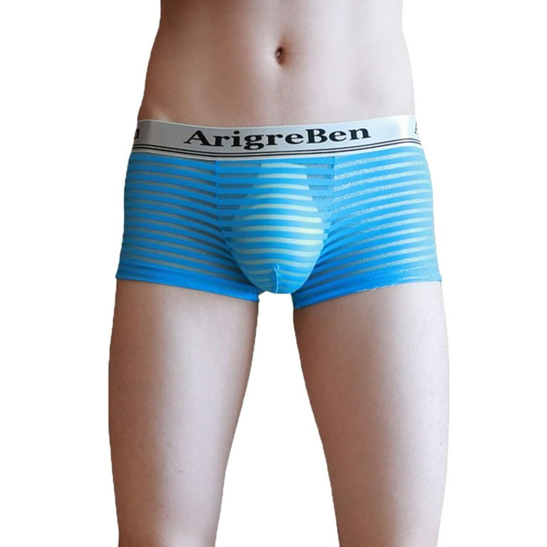 Aayomet Mens Underwear Men's Cotton Stretch Underwear Support Briefs Wide  Waistband Multipack,Light Blue M 