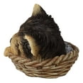 thumbnail image 6 of Lifelike Yorkshire Terrier Puppy Dog Sleeping In Wicker Basket Statue Yorkie Pet, 6 of 8