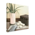 thumbnail image 2 of Trademark Fine Art 'Spa Retreat IV' Canvas Art by Megan Meagher, 2 of 4