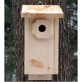 thumbnail image 1 of Urban Nature Store Maison Faite à la Main pour Mésange, 1 of 1
