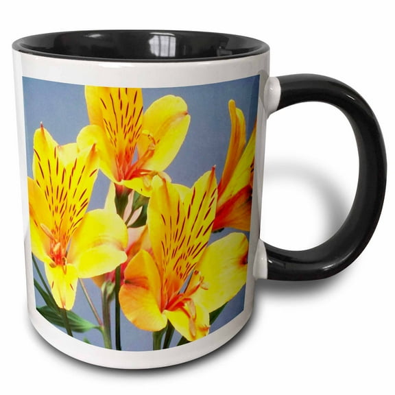 3drose, Orange N Yellow Tiger Lillies, 11oz Two-tone Black Mug