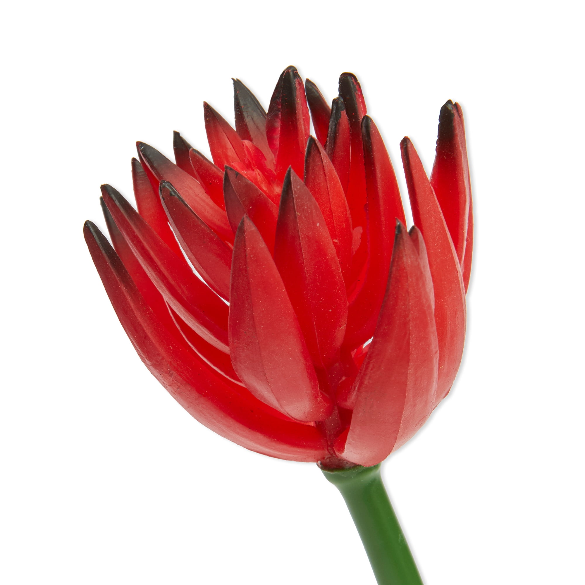 (3 pack) Mainstays Artificial Succulent Pick 1.5 inch x 5.25 inch Red