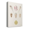 thumbnail image 2 of Pastel Knorr Shells I Premium Gallery Wrapped Canvas - Ready to Hang, 2 of 9