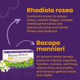 thumbnail image 4 of Brain Supplement for Memory, Focus, Cognitive Health, Rhodiola Rosea, Bacopa Monnieri, Multivitamin with Vitamin B Complex, Biotin, Magnesium, Iodine for Brain Function - 60 Capsules, 1 Pack, 4 of 7