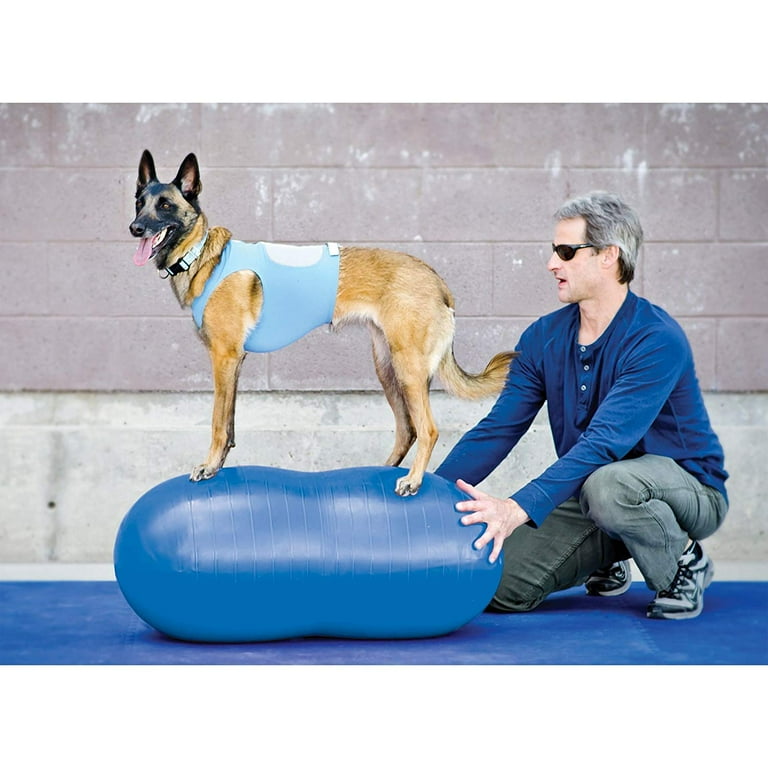 Fitpaws peanut hotsell