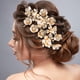 thumbnail image 5 of Clips para El Dorado Barretas La Perla 16 Piezas Accesorios Estético, 5 of 9