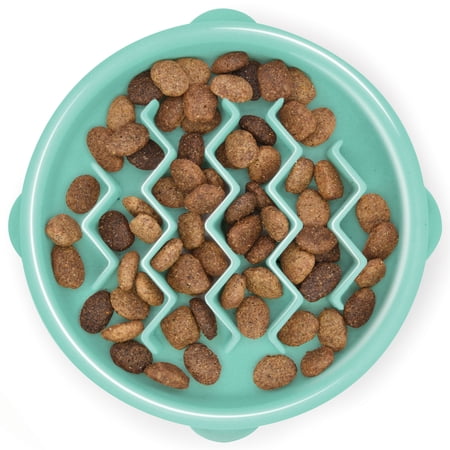 Outward Hound Fun Feeder Slo Bowl – Small 3/4-Cup Capacity, Slow Feeding, Small Dogs, Puppies & Cats, Non-Slip, Mint, Wave Pattern