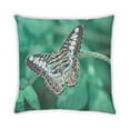 thumbnail image 2 of Ahgly Company Insects Butterfly Coussin d'Intérieur, 18 Pouces par 18 Pouces, 2 of 6