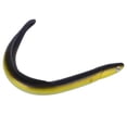 thumbnail image 1 of Fishing Lures, Fishing Bait Reflective PVC  For Anglers, 1 of 8
