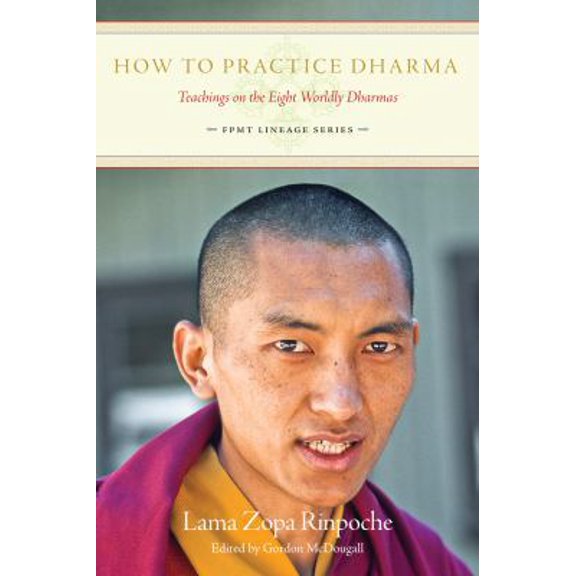 Pre-Owned How to Practice Dharma: Teachings on the Eight Worldly Dharmas (Paperback) 1891868284 9781891868283