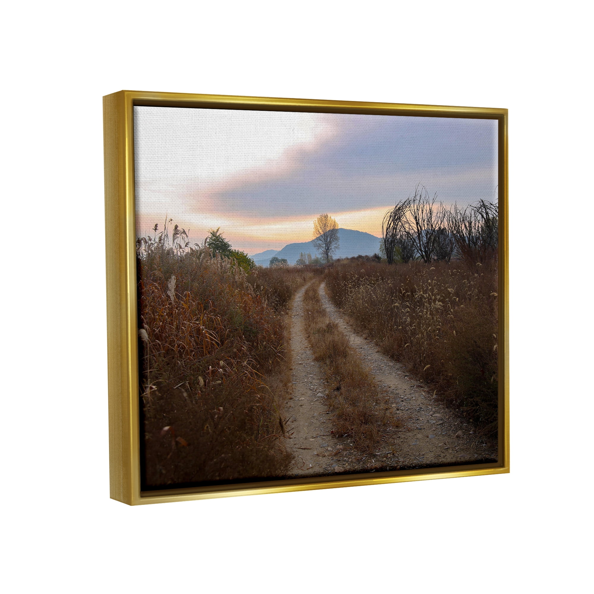Stupell Industries Rural Trail Landscape Nature Photography Gold Floater Framed Art Print Wall Art, 21 x 17