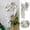 B, variant on Sleeping Angel Door Frame Hanging Pendant European Style Resin Statue Wall Craft Home Decorative Ornament