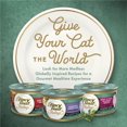 thumbnail image 5 of Purina Fancy Feast Medleys Kitten Food Wet Cat Food Chicken Florentine & Spinach 3 oz Can (Pack of 9), 5 of 6