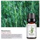 thumbnail image 4 of XWSHYW Aceite Esencial Aliviar La Fatiga Aceite Aromaterapia 10Ml, 4 of 6