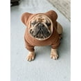 thumbnail image 2 of Frenchiestore Organic Dog Frenchie Ear Hoodie | Teddy Bear, 2 of 5
