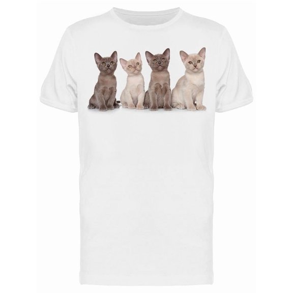 Group Of Burmese Kittens Posing Tee Men's -Image by Shutterstock Men's T-shirt