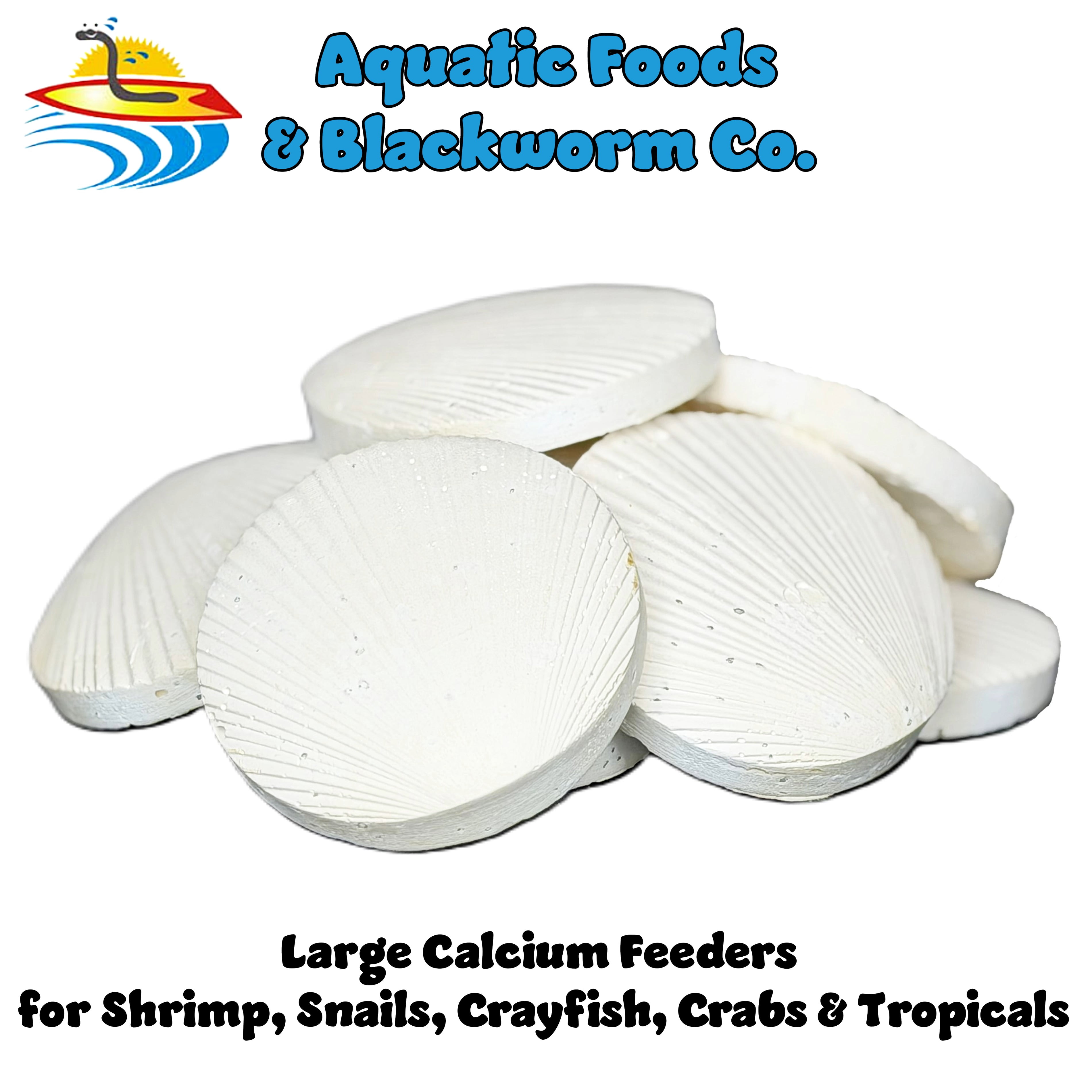 Calcium Feeder Disks  for Shrimp, Snails, Crabs, Crayfish, Hermit Crabs and all Tropical Fish, 90 Count Jar of Small & Medium & Large