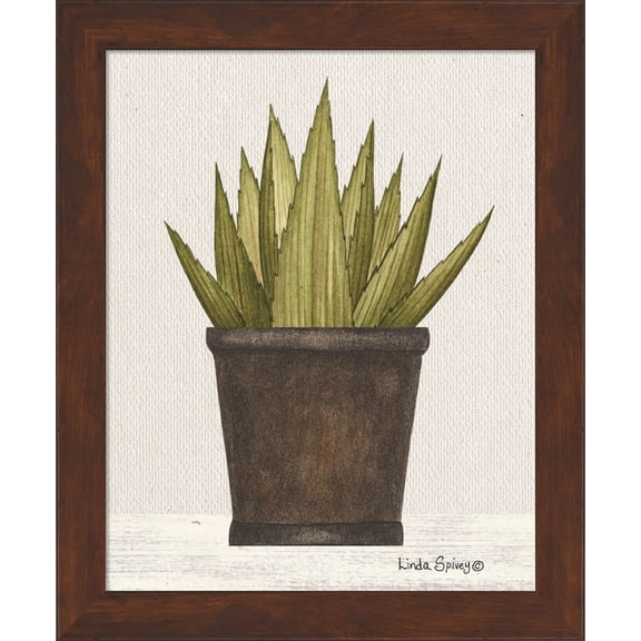 Great Art Now Potted Aloe Vera by Linda Spivey, Framed Wall Art, 14W x 17H