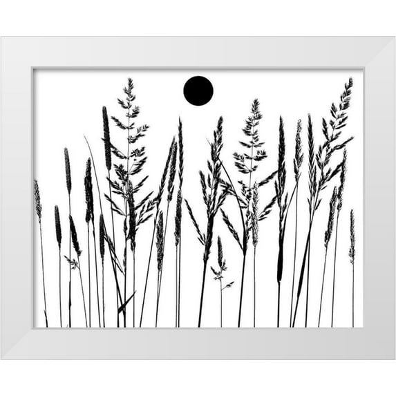 Sommers, Mindy 14x12 White Modern Wood Framed Museum Art Print Titled - Grassy Moon II