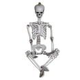 thumbnail image 2 of Nrmvnmi Halloween Skeleton - Life Size Full Body Realistic Human Bones with Posable Joints for Halloween Pose Skeleton Prop Decoration, 2 of 7