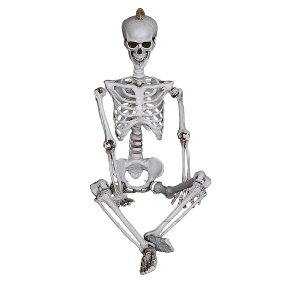 TopLLC Halloween Decor Fall Decor Halloween Spooky House Dress Up Simulation Skull Skeleton Ghost Trick Props Halloween Party Favor