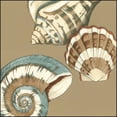 thumbnail image 2 of Meagher, Megan 15x15 White Modern Wood Framed Museum Art Print Titled - Small Shell Trio on Khaki II, 2 of 4