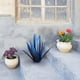 thumbnail image 3 of Xihbxyly Planta de Hierro para Tequila, Escultura Artesanal para Jardín, Diseño Único de Agave, Vibrantes Reflejos Azules, Arte para Exteriores, Decoración Del Hogar, 55 Cm de Altura, Decoración Pers, 3 of 4