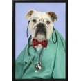 thumbnail image 2 of Bulldog in Vets Scrubs Wearing Glasses and Stethoscope, Animals Figurative Framed Art Print Wall Art Sold by Art.Com, 2 of 5