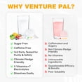 thumbnail image 2 of Venture Pal Sugar Free Electrolyte Powder Packets - Daily Hydration Packets | Electrolytes Drink Mix with 5 Vitamins & 7 Electrolytes | Keto Friendly | Non-GMO | Certified Vegan | 16 Sticks, 2 of 6