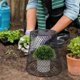 thumbnail image 3 of 4pcs Multi-use Plant Cover Mesh Designed Flowerpot Cover Reusable Plant Cage, 3 of 3