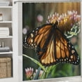 thumbnail image 6 of Patifu Butterfly Flower Grass Shower Curtain with Hooks for Bathroom Home Bathtubs Decoration 36"x72, 6 of 7