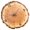 A, variant on Quiet Farmhouses Grains Wall Clock Operated with Annual Rings Print for Bedroom Kitchen Decors