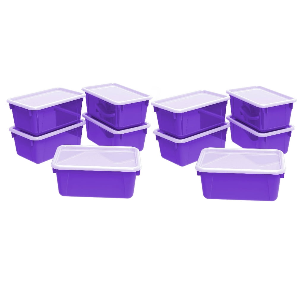 Storex Small Cubby Bin with Cover, Plastic Storage Container Fits