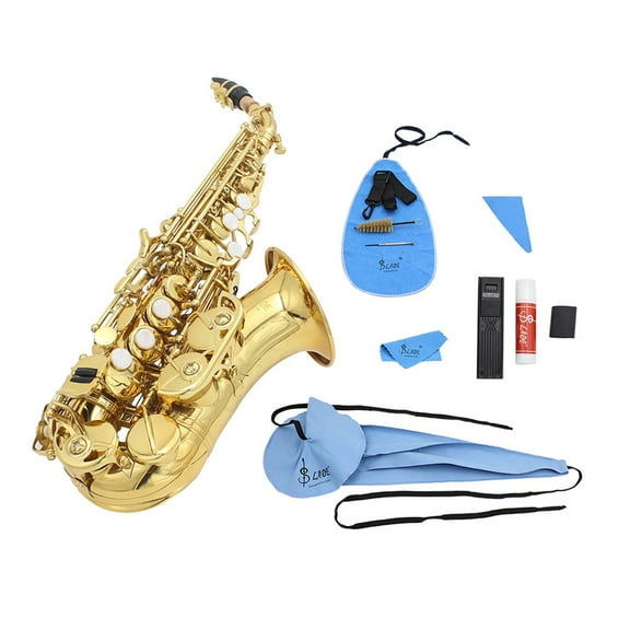Raindrops 1 Set/10pcs Saxophone Cleaning Care Kits Musical Instruments Sax Cleaning Accessories for Clarinet, Flute, Wind and Woodwind Instrument
