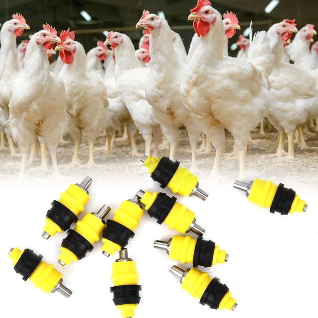 Bebedero automático para gallinas, 10 unidades, bebedero automático para aves de corral, bebedero automático para aves de corral, rendimiento confiable Jadeshay A