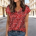 thumbnail image 1 of TaTaai Women's Satin V-Neck Top Short Sleeve Printed Pullover Loose Fit Shiny Elegant Casual Summer Blouse Shirt Date Night Daily Gift, 1 of 6