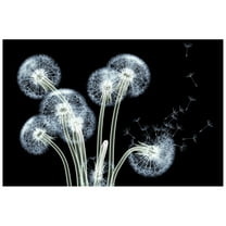 Empire Art "Dancing Dandelions" Wall Art Printed on Tempered Glass
