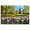 Color 4, variant on 8 Pack Art Acoustic Panels Sound Absorbing casas de guanajuato colorful houses mountain Decorative Soundproof Wall Panels Self Adhesive for Recording Studios Office 48"x32"