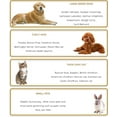 thumbnail image 2 of Dog Grooming Kit Clippers, Low Noise, Electric Quiet, Rechargeable, Cordless, Pet Hair Thick Coats Clippers Trimmers Set, Suitable for Dogs, Cats, and Other Pets (Gold), 2 of 3