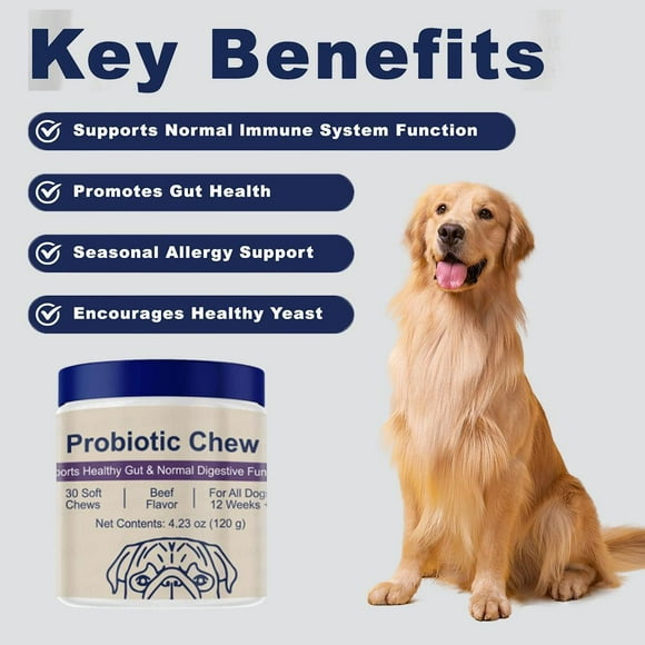 30 chews PROBIOTICS Food Treats Chews FOR DOG HEALTHY DIGESTION GUT SUPPORT NEW Better