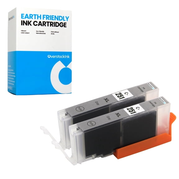 OverstockInk CLI-251XLGY Ink Cartridge Compatible for Canon CLI-251XL Ink Cartridge for PIXMA iP8720 MG6320 MG6620 MG7120 MG7520 (2 Gray)