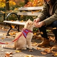 thumbnail image 6 of Breathable Mesh Pet Harness and Leash Set, Adjustable Color Block Vest for Small Medium Cats and Dogs(2#Red), 6 of 6