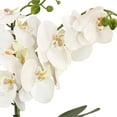 thumbnail image 3 of 21 in. White Orchid Flower in White Basket, 3 of 3