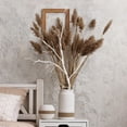 thumbnail image 4 of unbranded Rama Decorativa Para De Jarrones Y Natural En Espacios Del Hogar, 4 of 8
