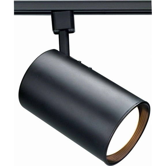 Nuvo TH203 - 1 Light - R30 - Track Head - Straight Cylinder