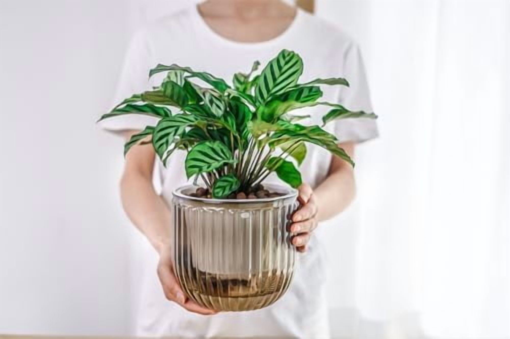 2 Pack Self Watering Hanging Planters Indoor Flower Pots, 6.5 Inch Outdoor Hanging Plant Pot Basket, Plant Hanger with 3Hooks Drainage Holes for Garden Home (Gray)