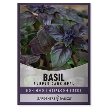 Dark Opal Basil Seeds - Gardeners Basics
