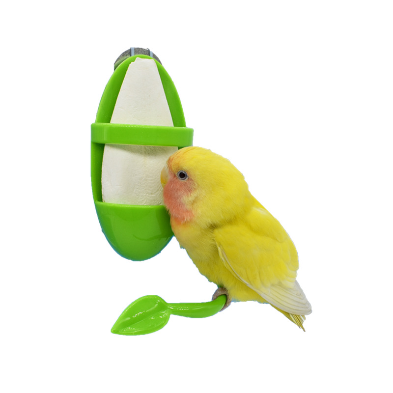 Parrot Feeder with Standing Rack Plastic Fruit and Vegetable Holder