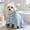 Blue, variant on Super Absorbent Pet Bathrobe with Hood, Fast Drying Towel Wrap for Small Dogs & Cats, Adjustable Elastic Strap for Home, Travel & Grooming