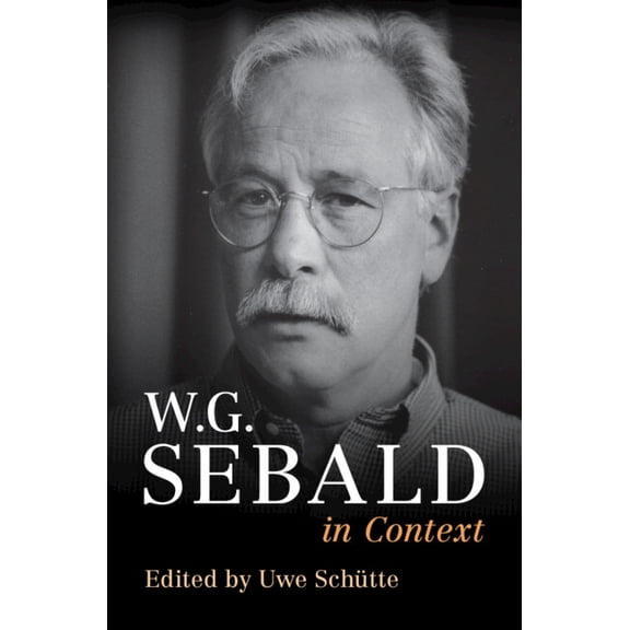 Literature in Context W. G. Sebald in Context, (Hardcover)